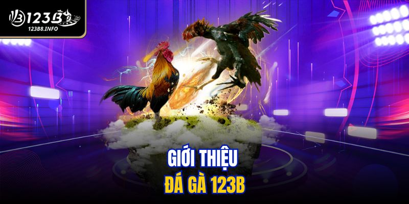 Giới thiệu đá gà 123B