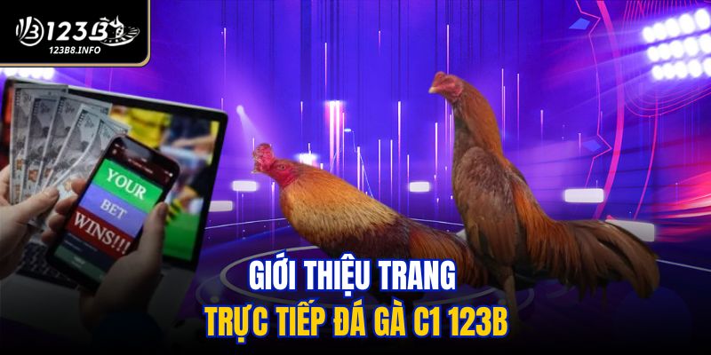 Giới thiệu trang trực tiếp đá gà C1 123B