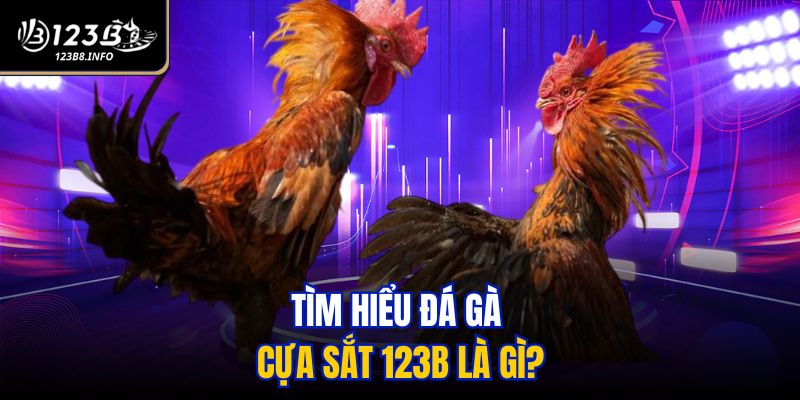 Tìm hiểu đá gà cựa sắt 123B là gì?