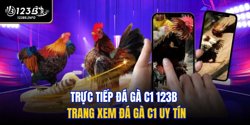 đá gà c1