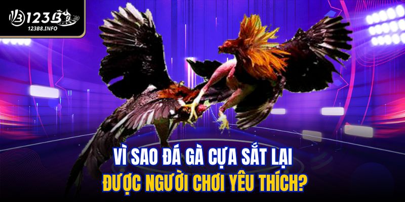 Vì sao đá gà cựa sắt lại được người chơi yêu thích?